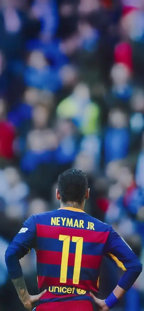 斯的离去 斯的离去