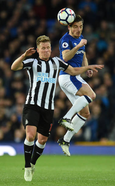 传闻再次引 传闻再次引